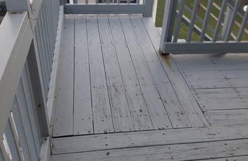 Crescent Beach House | (BRING PETS 1 BLOCK FROM the BEACH!)