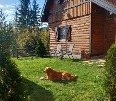 Kremna Cabin | Brvnare Na Brdu