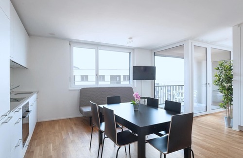Basel City Centre Apartment | BS Deer IV - Messe HITrental Apartment