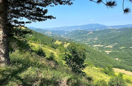 Corrubbio di Negarine Other | Bubble Room Experience