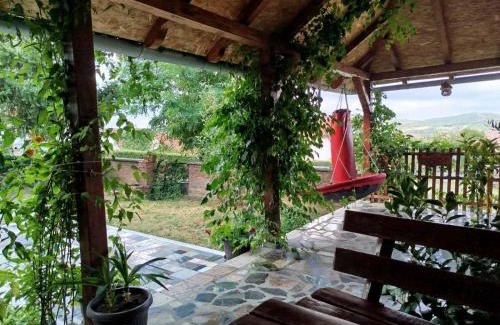 Arandelovac Villa | Bukuljska kuća