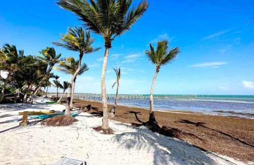 Sugarloaf Key House | Bungalows Beach Key West - Azucar