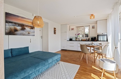 Brugg Apartment | Business I Family Apartment - Aare view, near old town I Terrace + parking lot