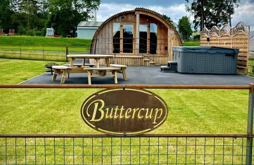 St Harmon Cabin | Buttercup - Glamping Pod with Hot Tub Sleeping 4, Pet Friendly