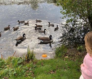 South Cerney Ski Chalet | Butterfly Retreat - Dog Friendly