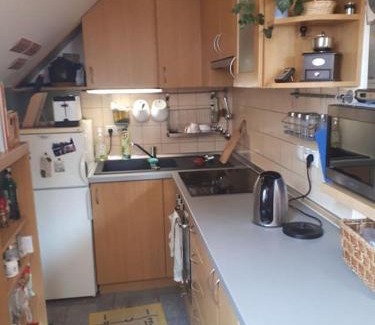 Bedrichov Apartment | Byt 4+kk v klidné části obce Bedřichov