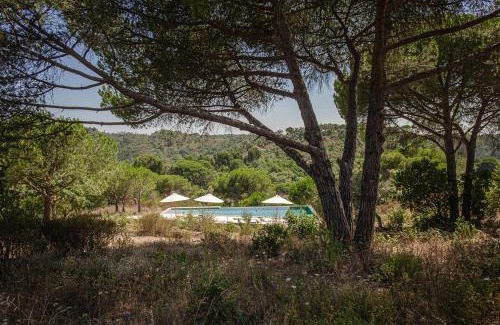 Grandola House | Cá na Serra