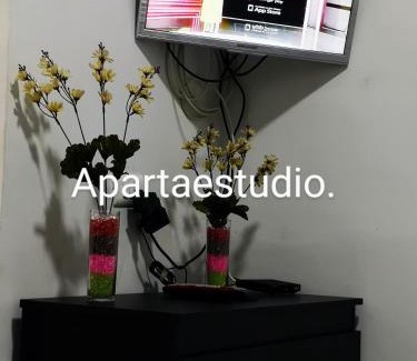 Manizales Apartment | Cómodos y acogedores Apartaestudios - Manizales