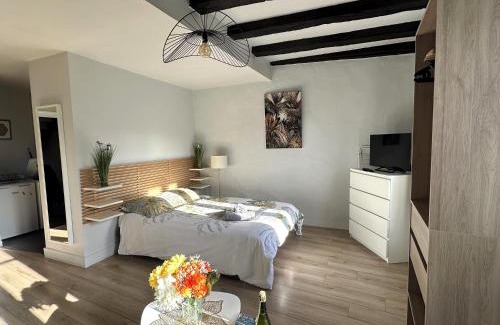 Quimper Apartment | Côté Cathédrale - Grand studio Rue du Salé - Centre Historique