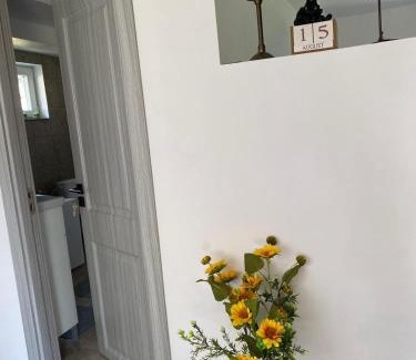 Campulung Moldovenesc Apartment | Căsuță BnB