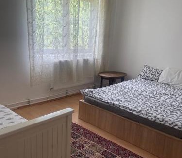 Bradu House | Căsuța de la țară