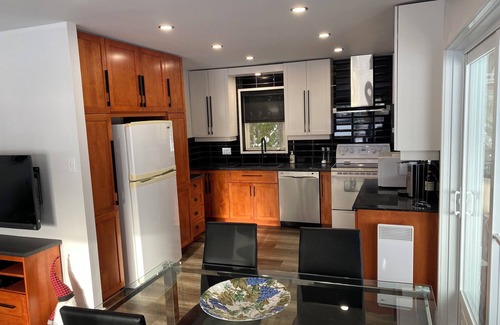 Lac-Saint-Jean-Est Regional County Municipality Ski Chalet | Le Chalet du Havre, 5 bedrooms, waterfront, covered terrace, pedal boat included!