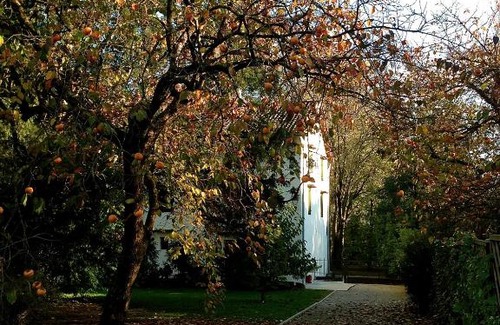 Azzanello Bed & Breakfast | Ca' Marsure B&B