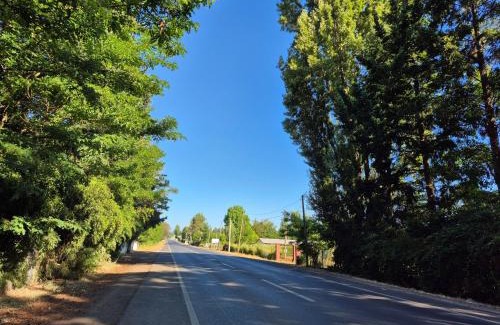 Pinto House | Cabaña Araucaria