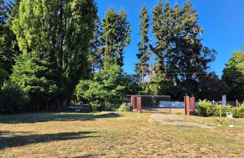 Pinto House | Cabaña Araucaria