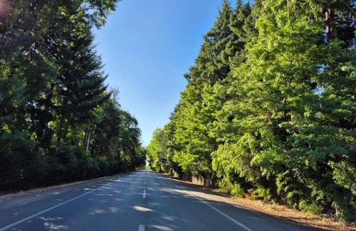 Pinto House | Cabaña Araucaria