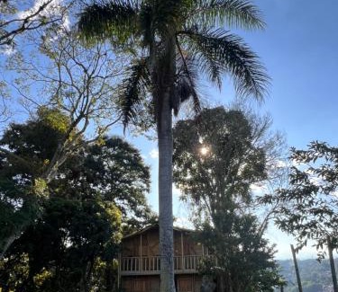 Calarca House | Cabaña Bamboo House