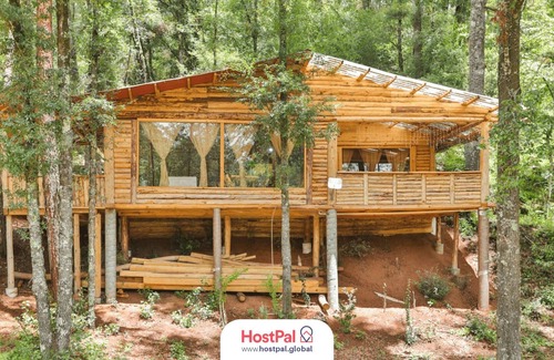 Acaxochitlan Apartment | Cabaña Chalchopan | Adrenalina en el bosque ⸙