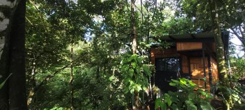 Vieja Cabin | Cabaña Colibri #2