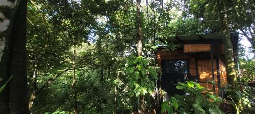 Vieja Cabin | Cabaña Colibri #2