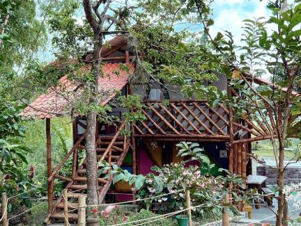 Tulua House | Cabaña Colores