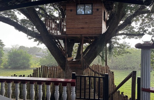 El Cerrito Cottage | Cabaña en un árbol en Santa Elena