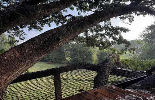 El Cerrito Cottage | Cabaña en un árbol en Santa Elena