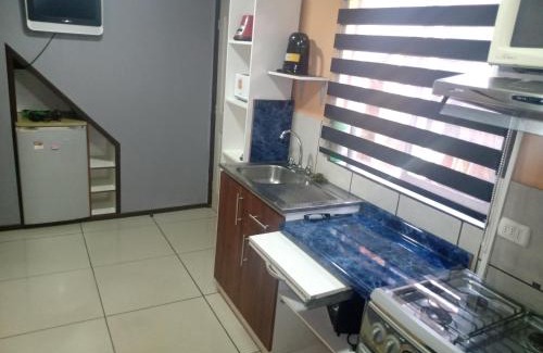 Valdivia Apartment | Cabaña en Valdivia
