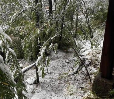 Pinto Apartment | Cabaña en Villa Los Leones