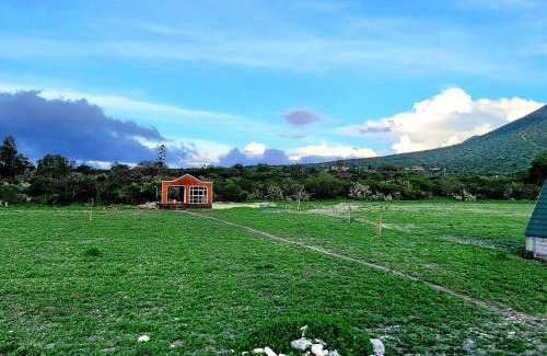 Cardonal House | Cabaña Gepetto