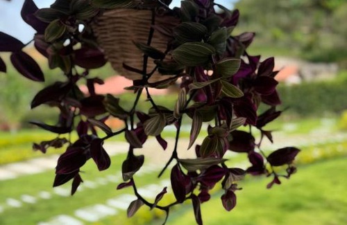 Ocana House | Cabaña La Sanguina 8 Pax