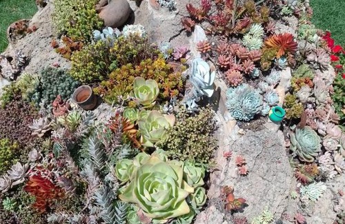 Sutamarchan House | CABAÑA LOS JUANES