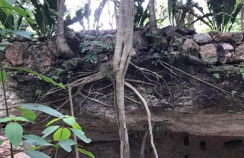 Tzucacab House | Cabaña Maya Fuego