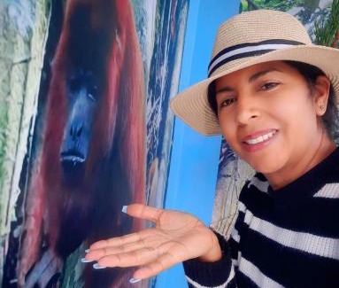 Filandia House | Cabaña mirador bremen