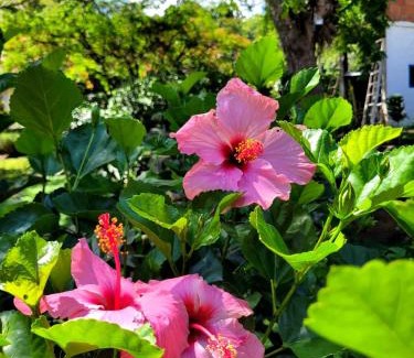 Socorro House | Cabaña Montana Socorro Santander