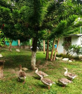 Fusagasuga Other | Cabaña Orquidea Campestre