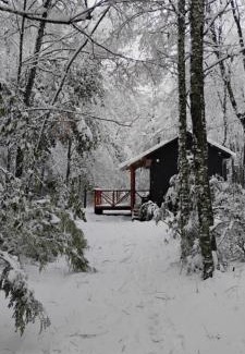 Curacautin House | Cabaña Ruka trinar