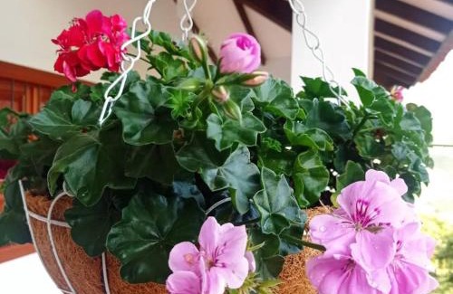 Zapatoca House | Cabaña Villa Esperanza