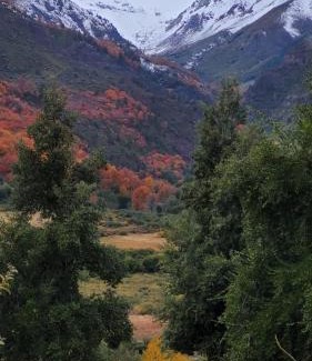 Colbun Ski Chalet | Cabañas con tinajas calientes en Parque Guaiquivilo