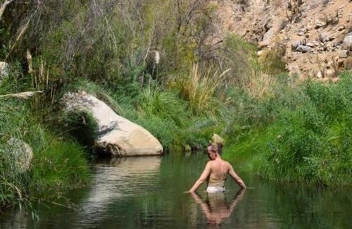 Paihuano Cabin | Cabañas El Albaricoque Cochiguaz