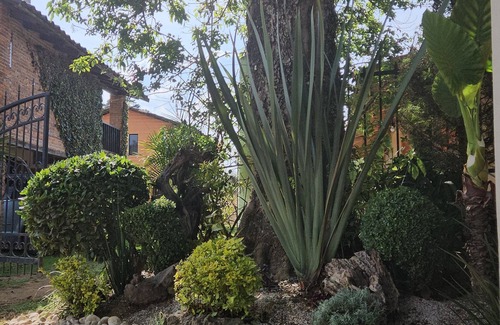 Zacatlan House | Cabañas Las Gardenias 4