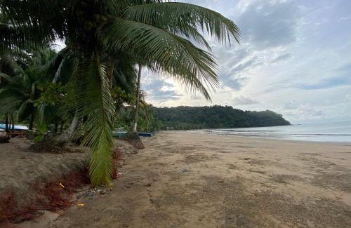 Bahia Solano Hotel | Cabañas Las Perlas