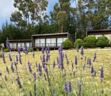 Curanipe Other | Cabañas Lovel-Van