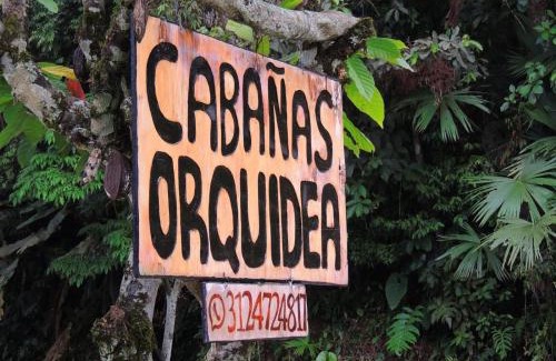Samana Cabin | Cabañas orquídea