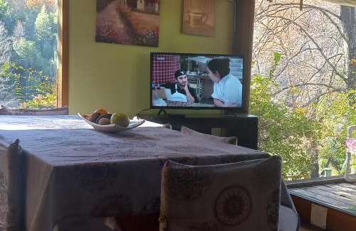 Yerbas Buenas Ski Chalet | Cabañas Recinto