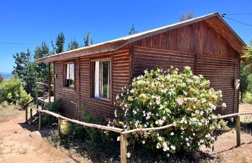 Curanipe House | Cabañas Refugio Las Conejas