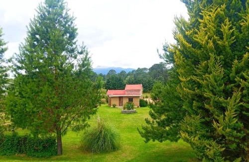 San Jose Teacalco Other | Cabañas Yolican Malinche
