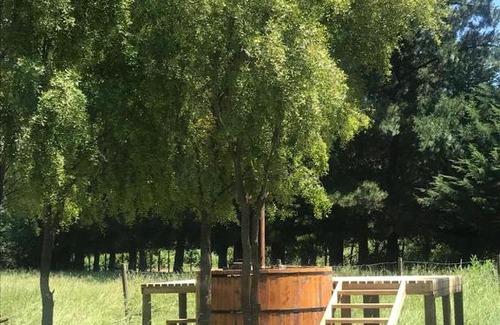 Cabrero House | cabaña Los Cipreces