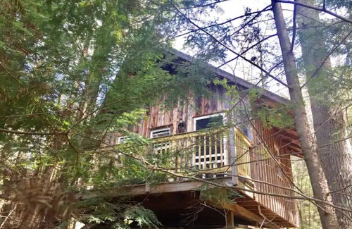 Waterbury Apartment | Cabin 1 Austrian Chalet