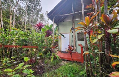 Fern Forest House | Cabin 2-Rustic private stay near Volcano National Park